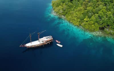 Travel and Dive in Triton Bay, A Haven for All Divers