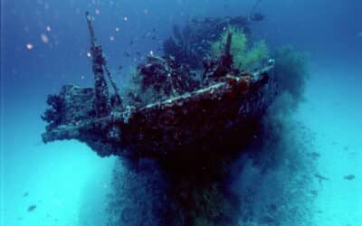 See Outstanding Wreck in Manokwari, Cendrawasih Bay