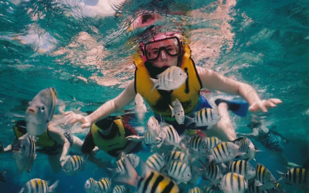 What to Prepare Before A Snorkeling Trip?