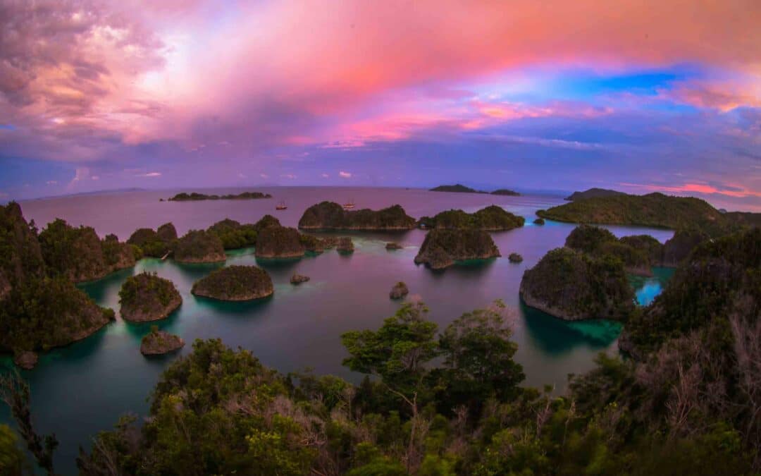 Best Dive Places in Raja Ampat to Spend New Year’s Eve