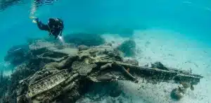 Cenderawasih Bay Liveaboard