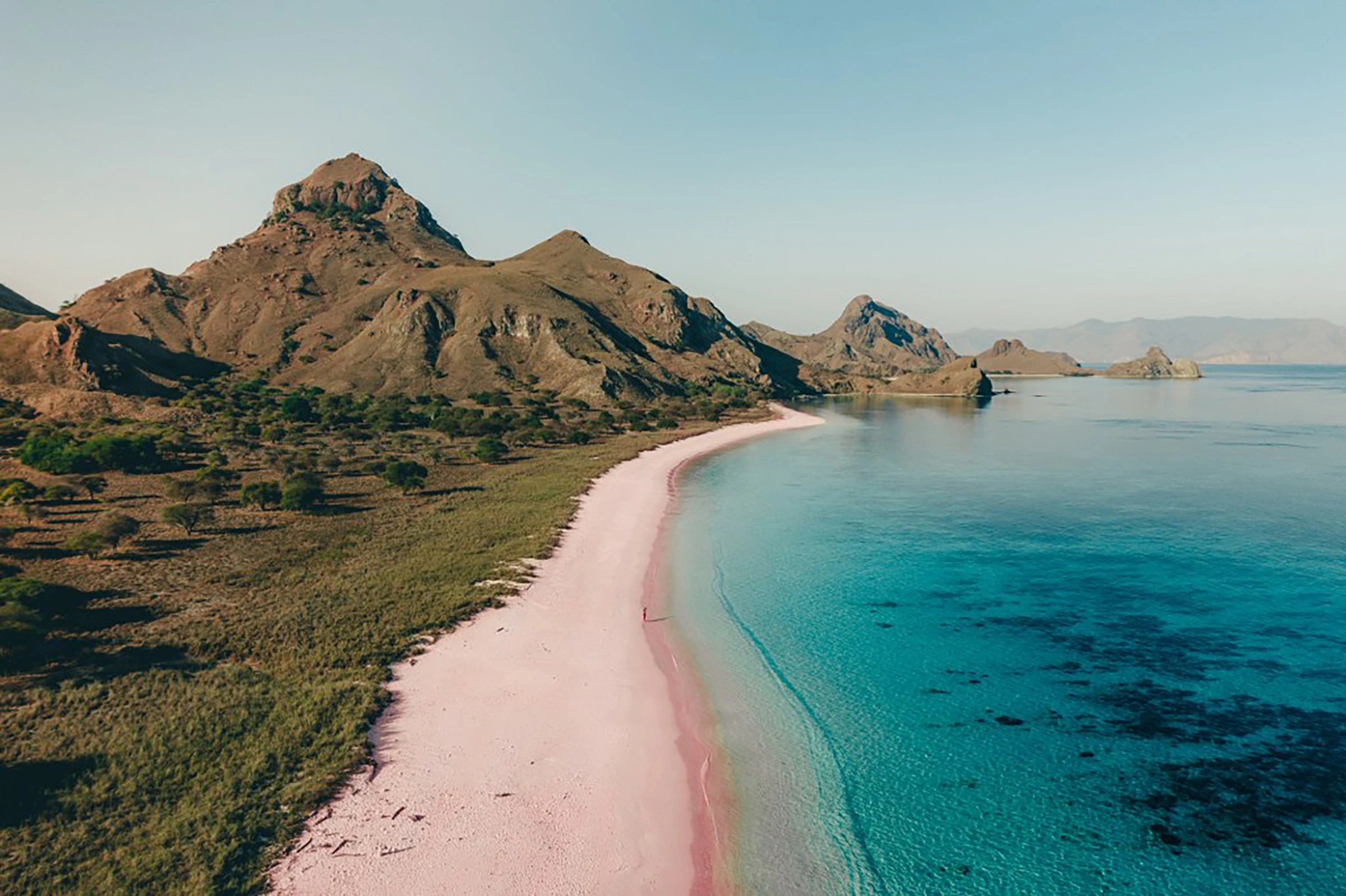 Komodo pink beach