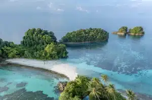 Cenderawasih Bay Liveaboard