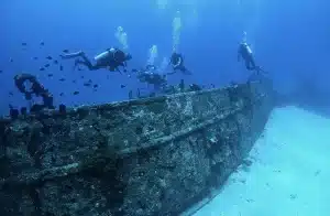 Cenderawasih Bay Liveaboard