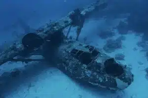 Cenderawasih Bay Liveaboard