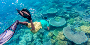 wakatobi national park